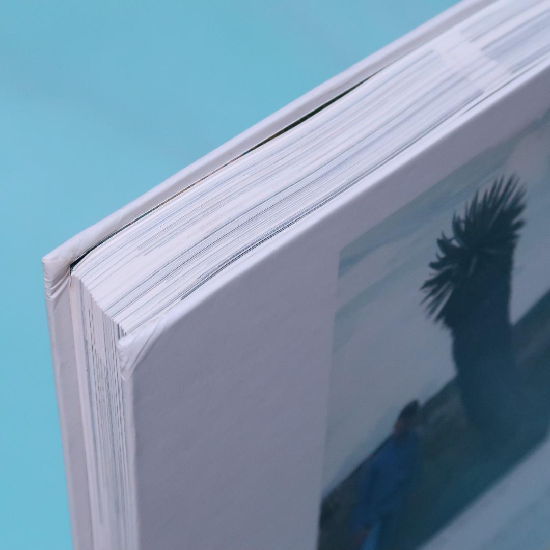 特別価格！ 洋書『ベネズエラの山岳植物、アンデスとテプイ、ブロメリア』植物図鑑