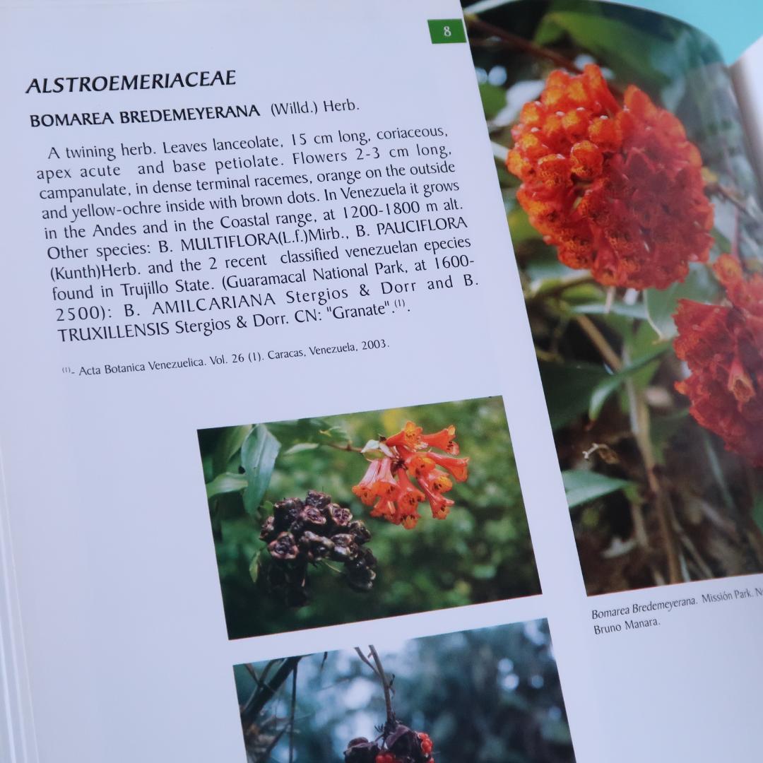 特別価格！ 洋書『ベネズエラの山岳植物、アンデスとテプイ、ブロメリア』植物図鑑