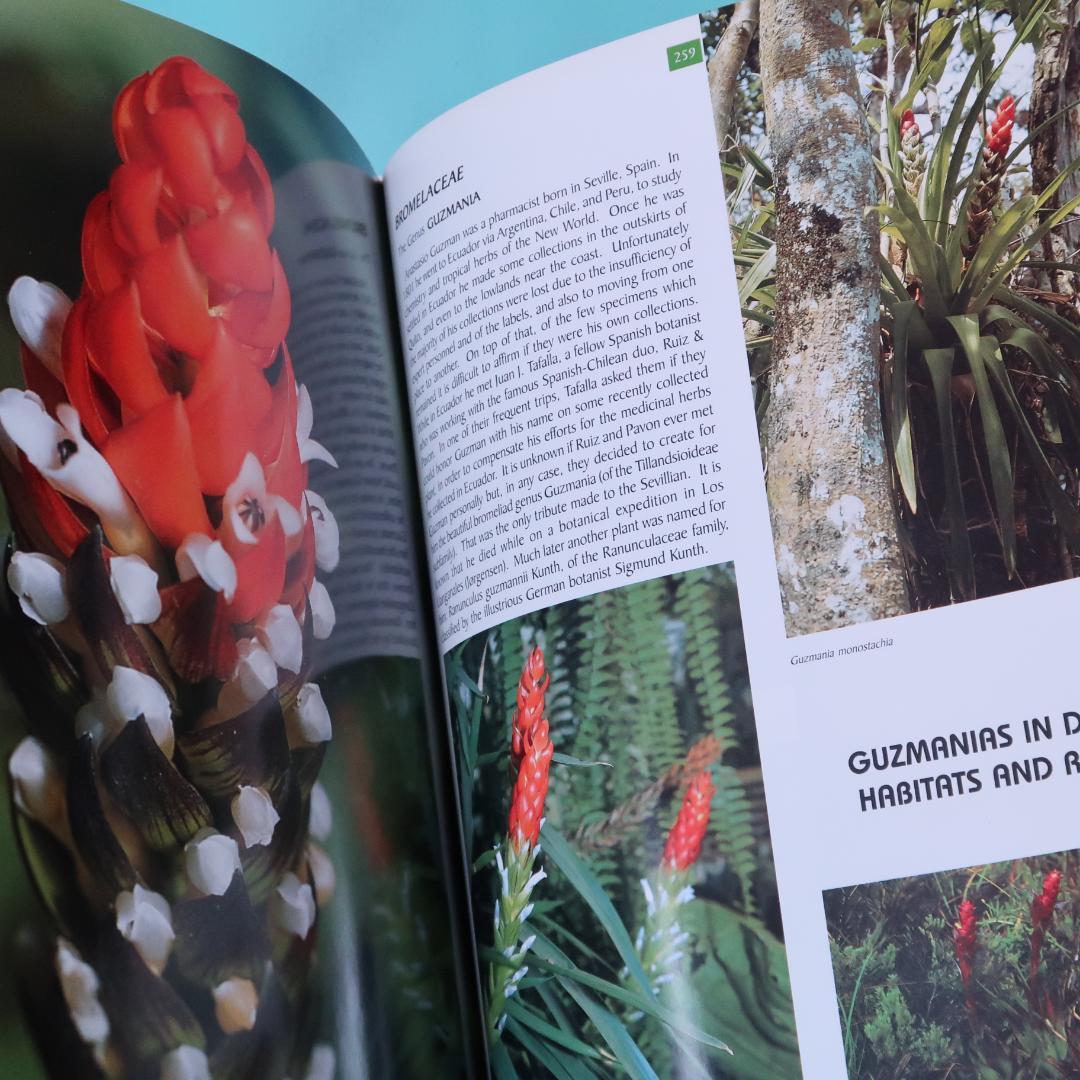 特別価格！ 洋書『ベネズエラの山岳植物、アンデスとテプイ、ブロメリア』植物図鑑