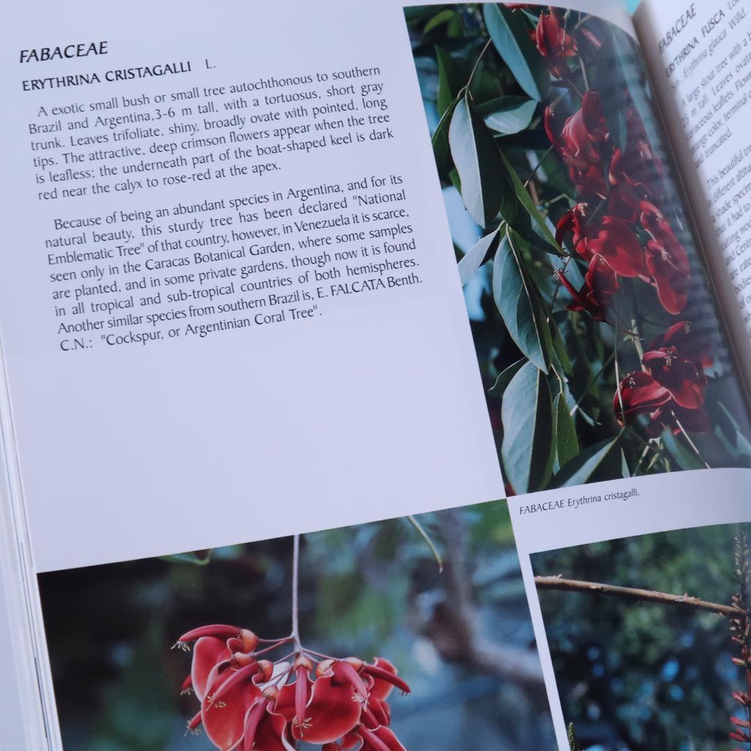 特別価格！ 洋書『ベネズエラの山岳植物、アンデスとテプイ、ブロメリア』植物図鑑