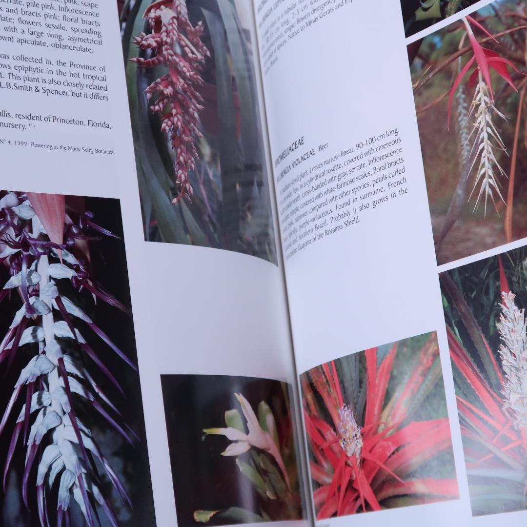 特別価格！ 洋書『ベネズエラの山岳植物、アンデスとテプイ、ブロメリア』植物図鑑