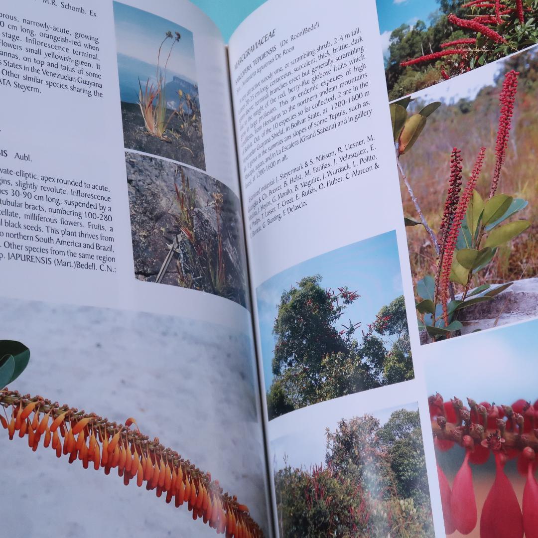 特別価格！ 洋書『ベネズエラの山岳植物、アンデスとテプイ、ブロメリア』植物図鑑