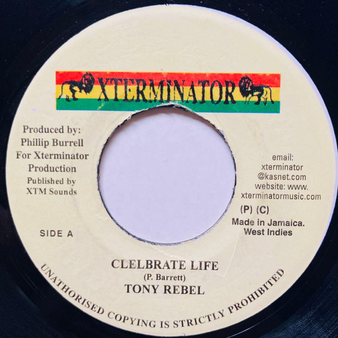 レゲエ　IN THIS TOGETHER リディム 4枚