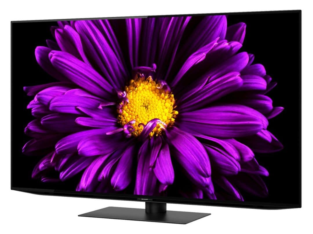 残念かいぎゅう