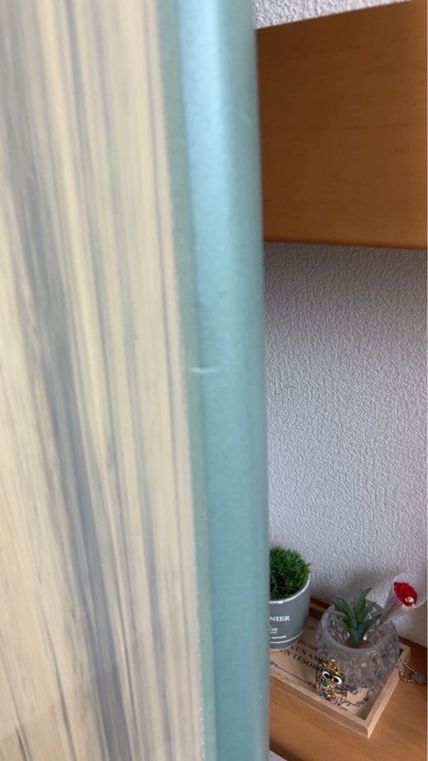 蘭Softech(ソフテック) ソフトボード 6'6 ROLLER