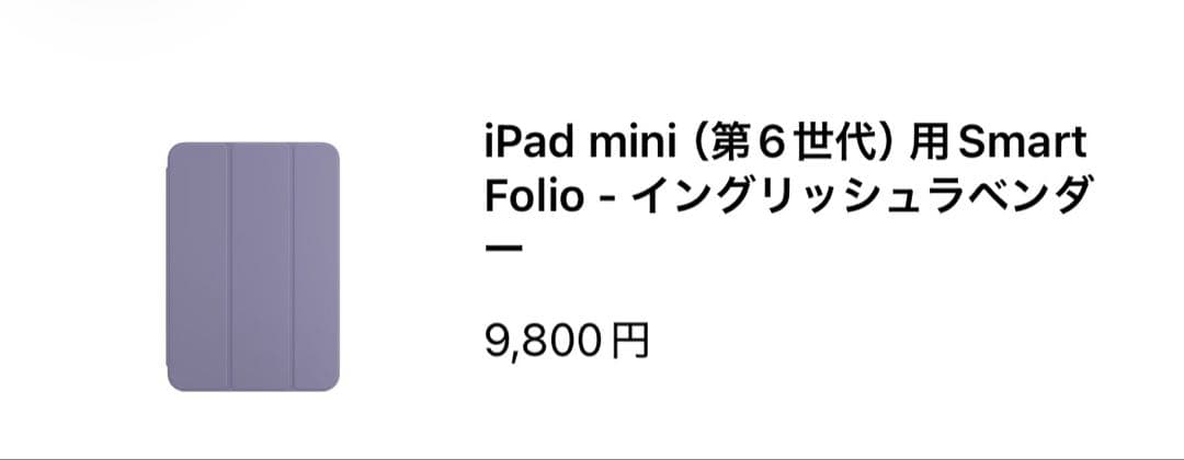 【美品】iPad mini 6 Wi-Fi+Cellularモデル　256G