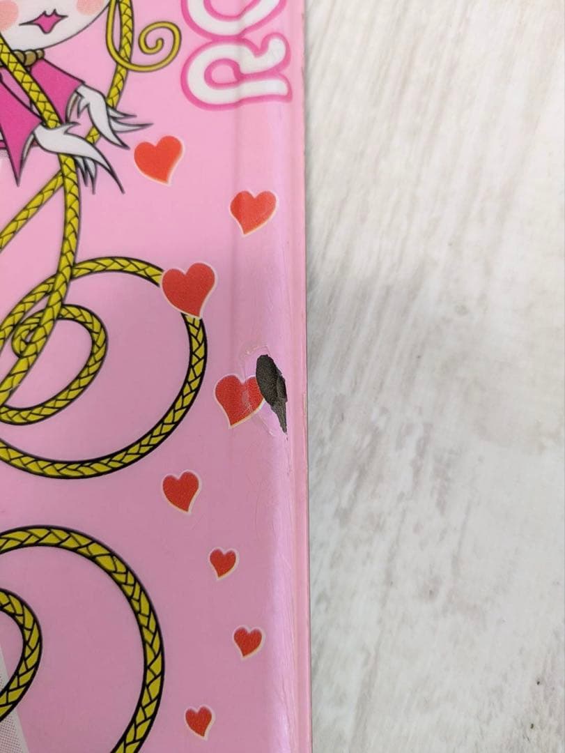 ROSSIGNOL Princess 110㎝ セット