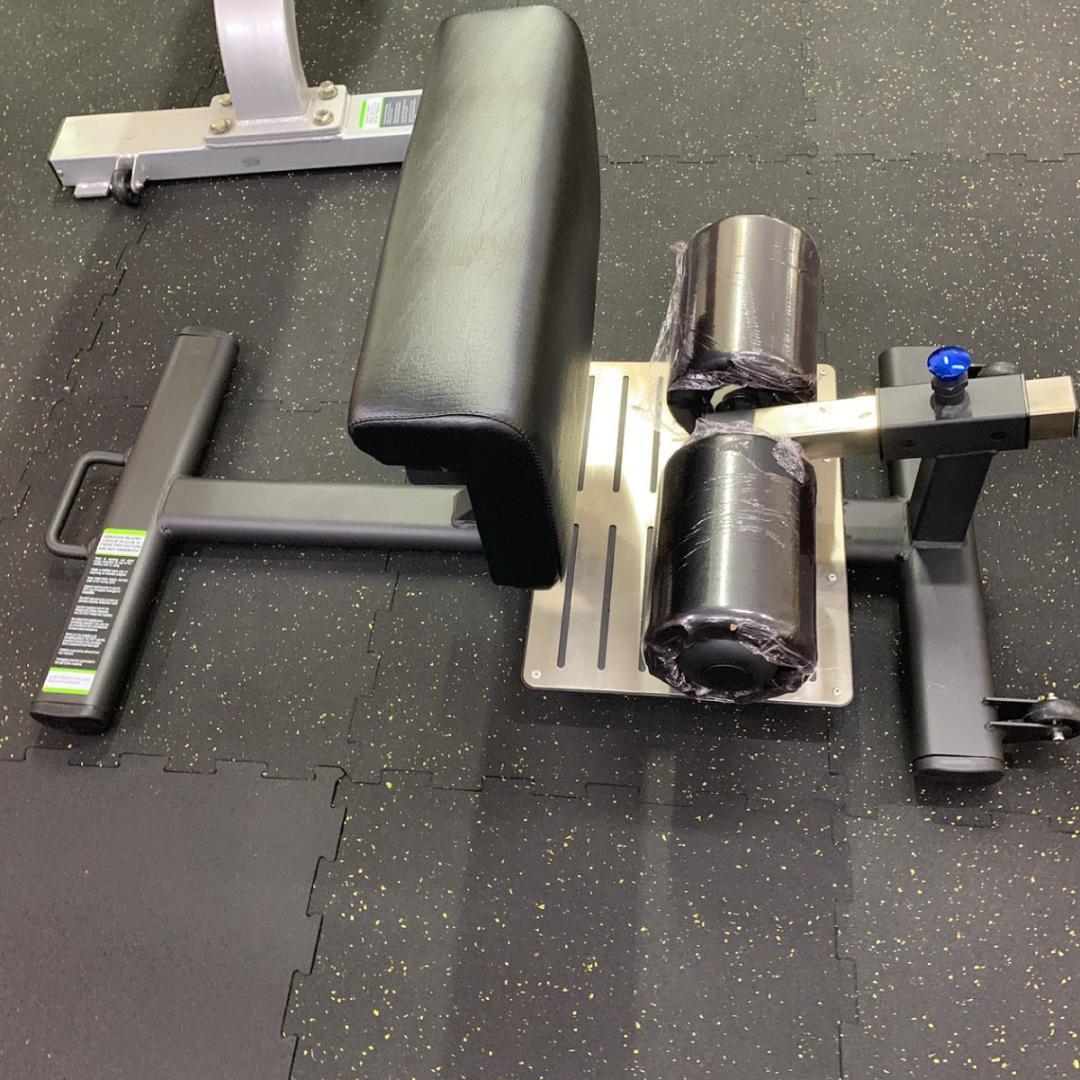 シッシースクワットマシーン