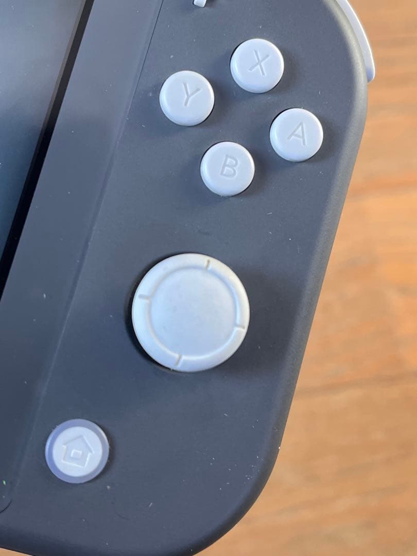 ニンテンドースイッチライト　グレー　あつまれどうぶつの森