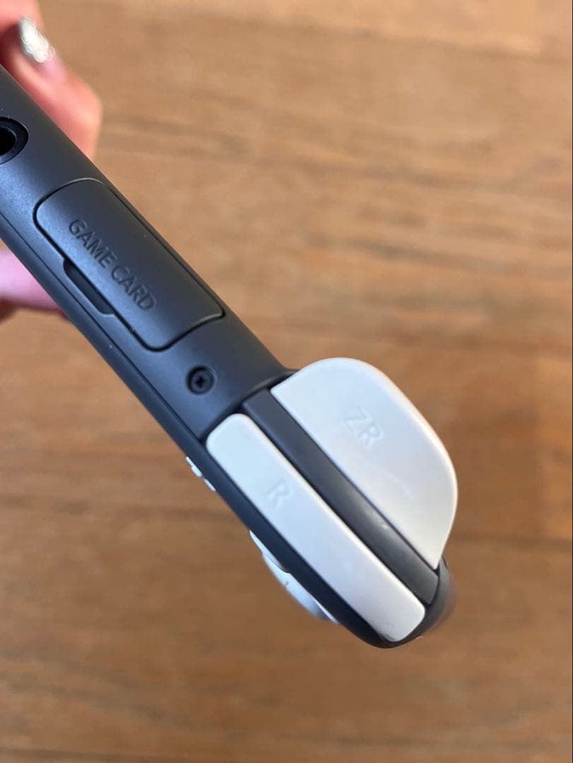 ニンテンドースイッチライト　グレー　あつまれどうぶつの森