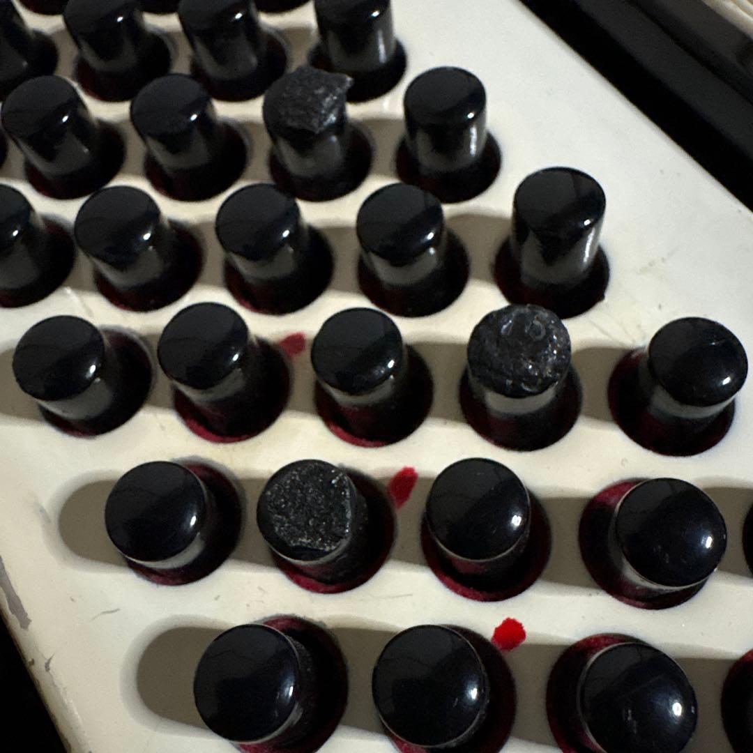 TOMBO アコーディオン J80 トンボ　楽器　音楽　ピアノ　鍵盤