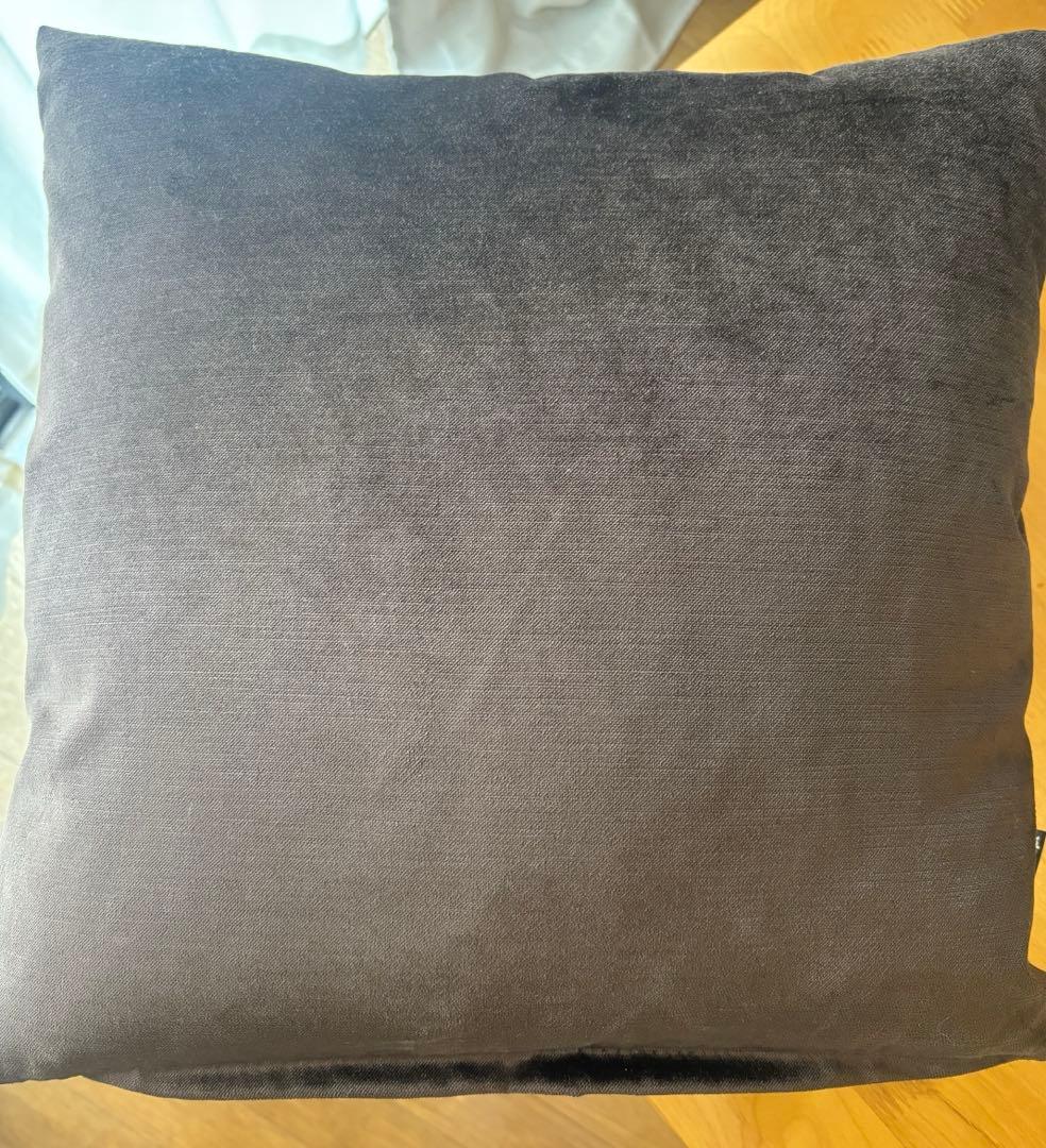 ボーコンセプト　ベルベットクッション