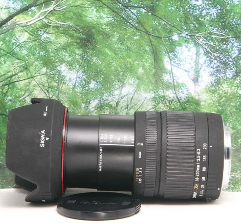 ❤近くから遠くまでこれ１本☆シグマ 18-200mm DC キャノン用❤
