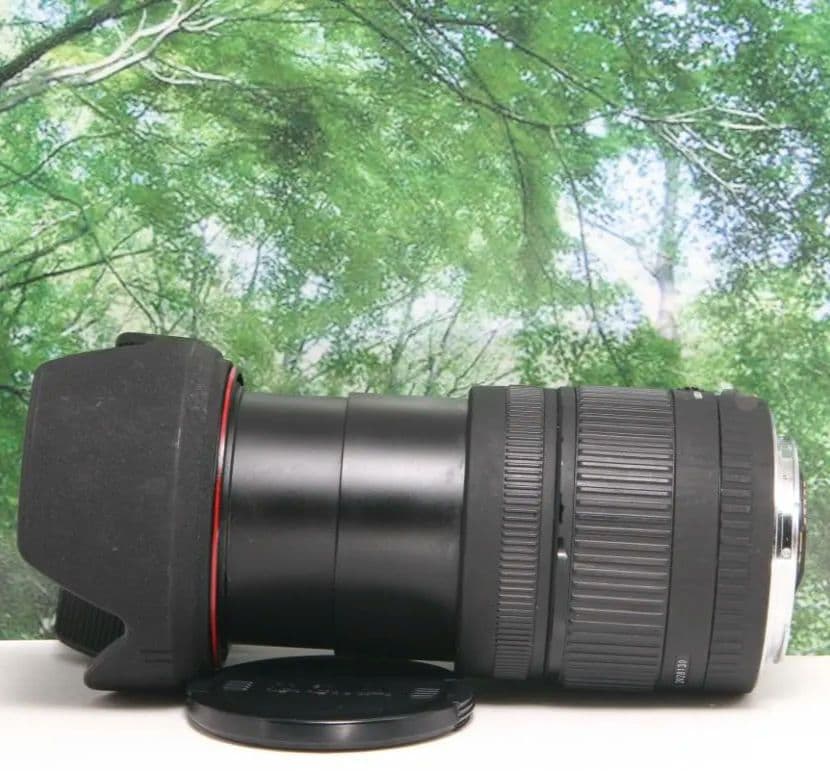 ❤近くから遠くまでこれ１本☆シグマ 18-200mm DC キャノン用❤