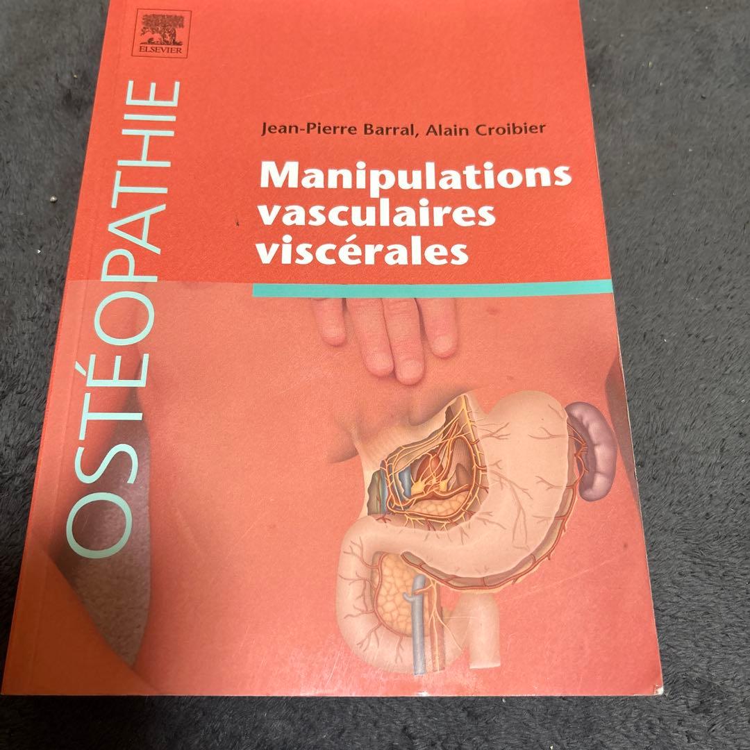 Manipulations vasculaires viscérales