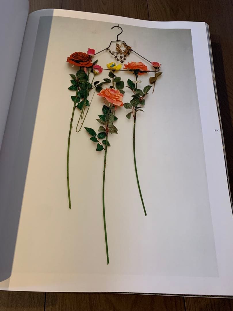 洋書 Tim walker Pictures.