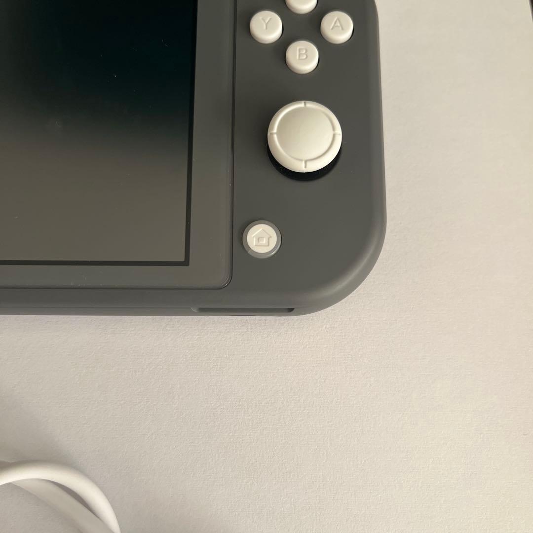 Switch lite 2019 グレー　128GBSDカード、ケーブル付き
