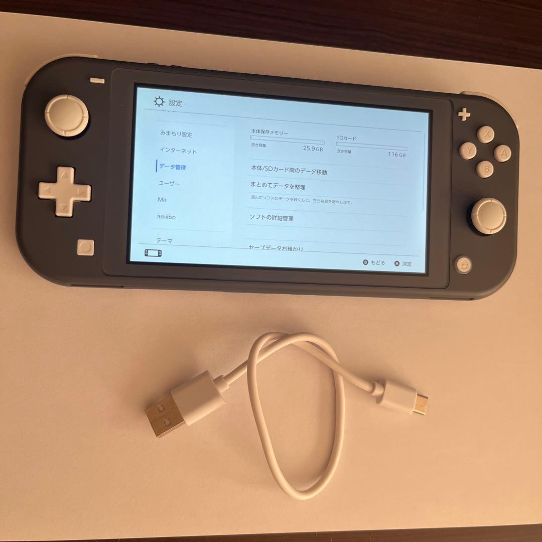 Switch lite 2019 グレー　128GBSDカード、ケーブル付き