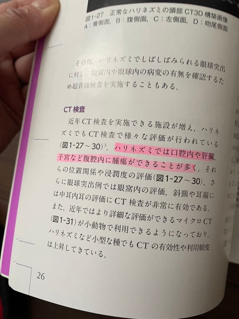 エキゾチック臨床 Vol.17 ハリネズミとフクロモモンガ