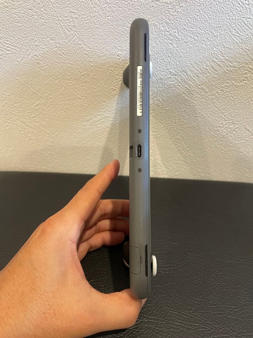 Nintendo Switch Lite グレー 本体　任天堂　スイッチ