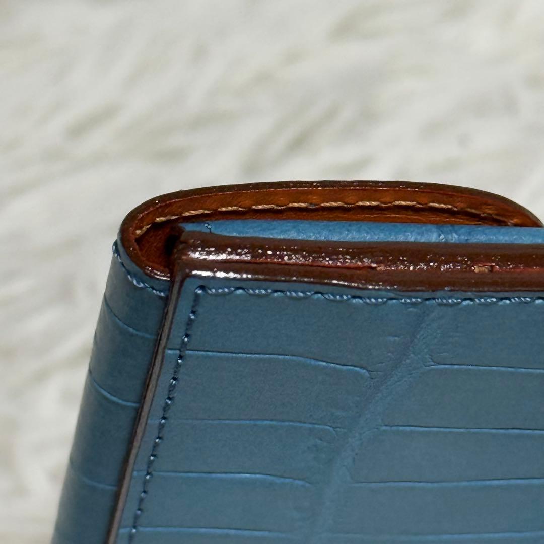 ⭐️未使用級⭐️　Felisi フェリージ　クロコ　マネークリップ　915/2