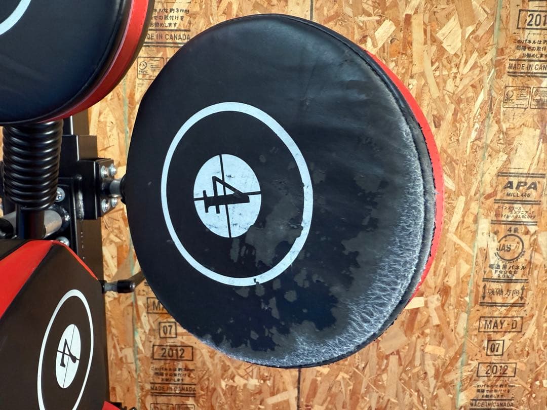 【みどりがめ】