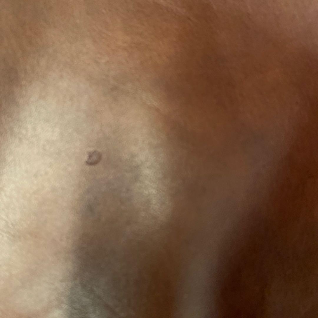 AERO LEATHER CO. TYPE A-2 フライトジャケット 38