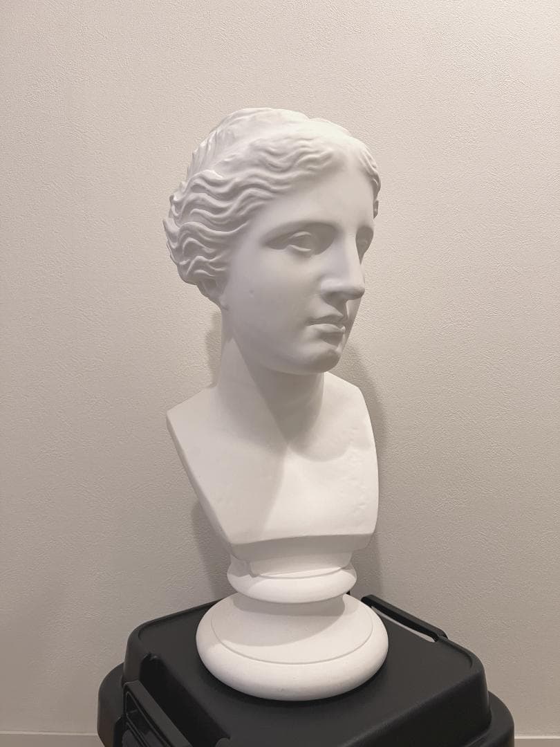 石膏像 ミロのヴィーナス 胸像 　デッサン インテリア