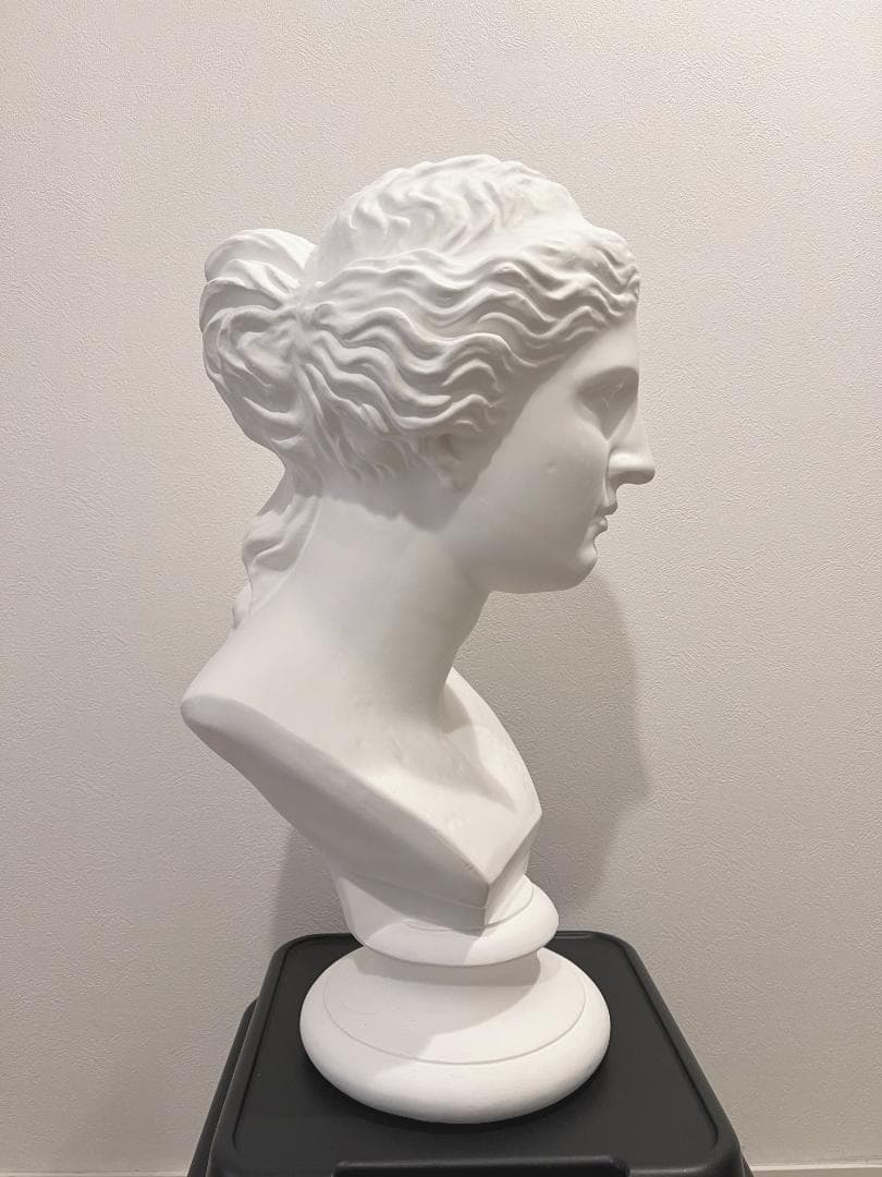 石膏像 ミロのヴィーナス 胸像 　デッサン インテリア