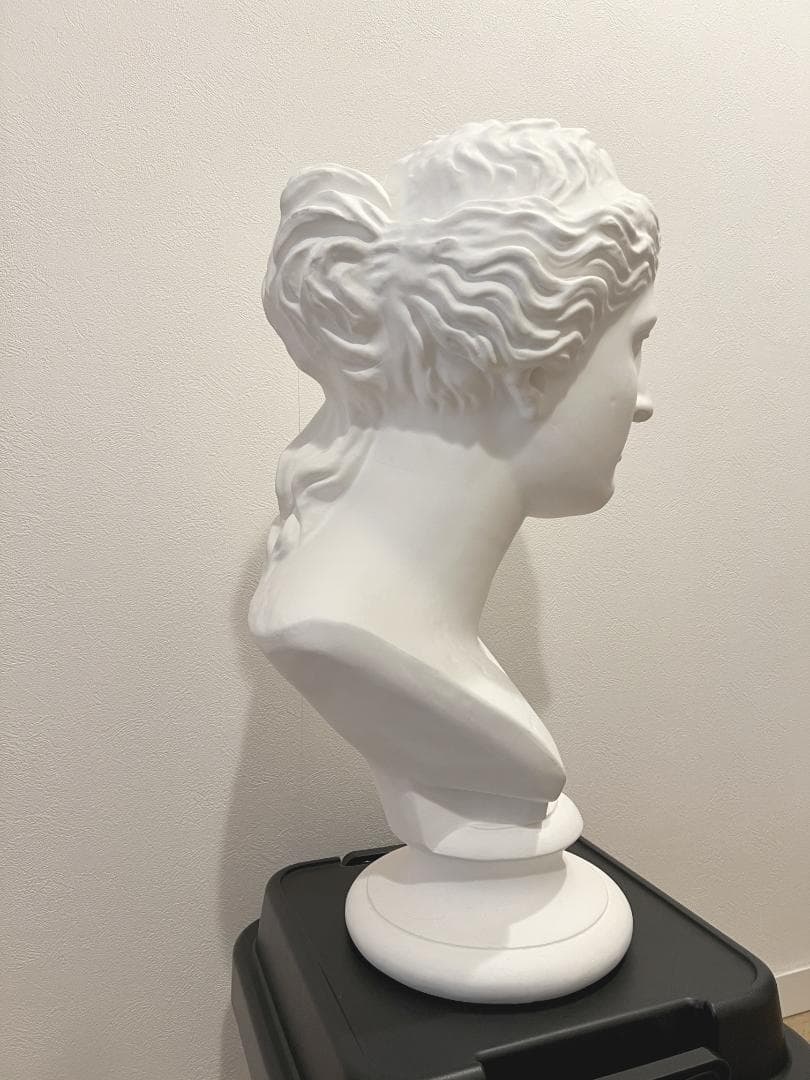 石膏像 ミロのヴィーナス 胸像 　デッサン インテリア