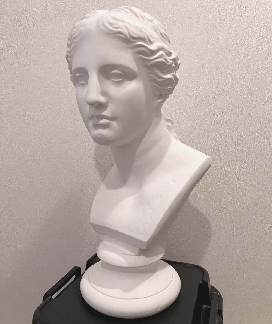石膏像 ミロのヴィーナス 胸像 　デッサン インテリア