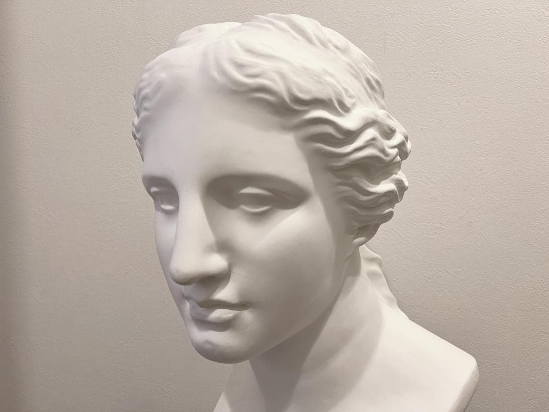 石膏像 ミロのヴィーナス 胸像 　デッサン インテリア