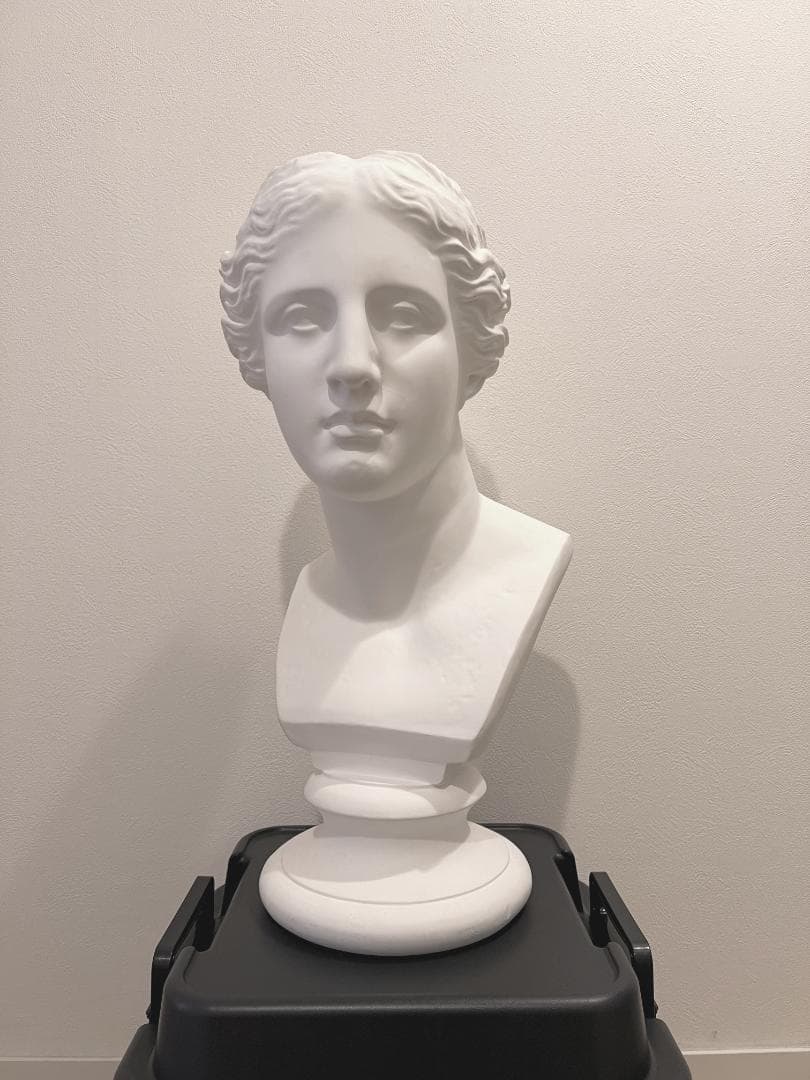 石膏像 ミロのヴィーナス 胸像 　デッサン インテリア