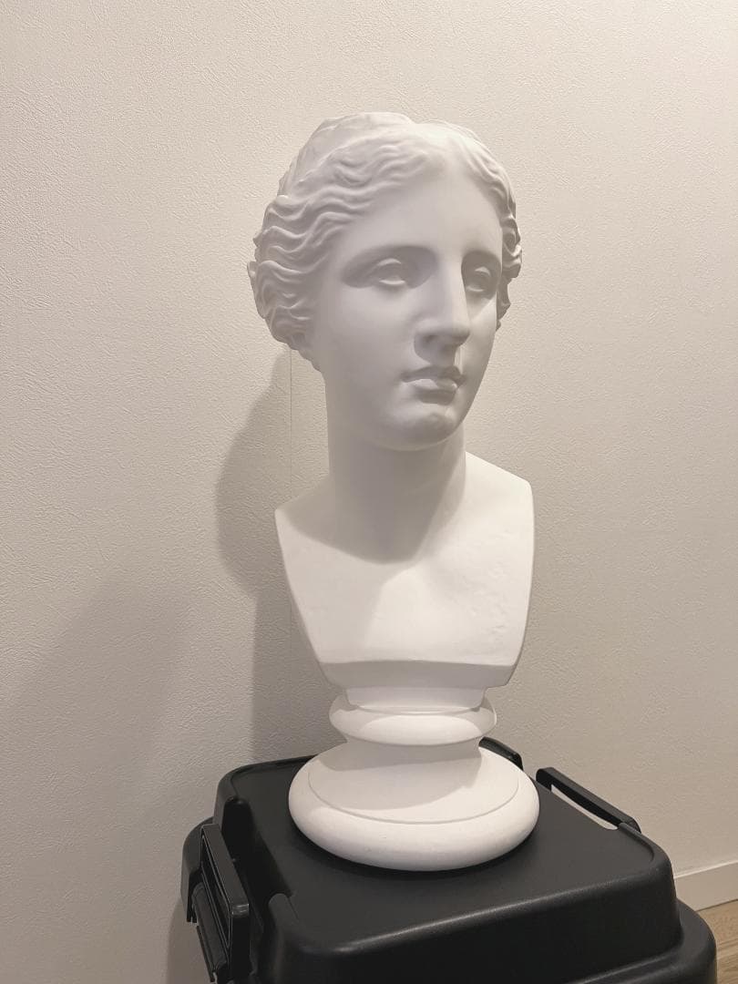 石膏像 ミロのヴィーナス 胸像 　デッサン インテリア