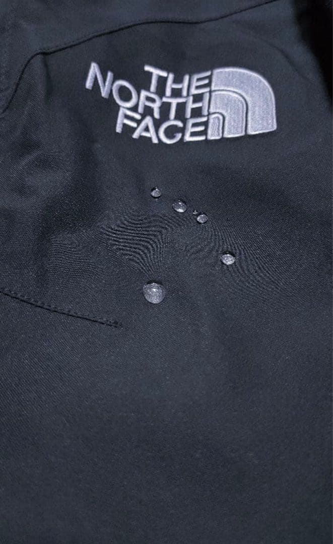 【ノースフェイス】マウンテンパンツ ゴアテックス ウィンターパンツ 厳冬期　L