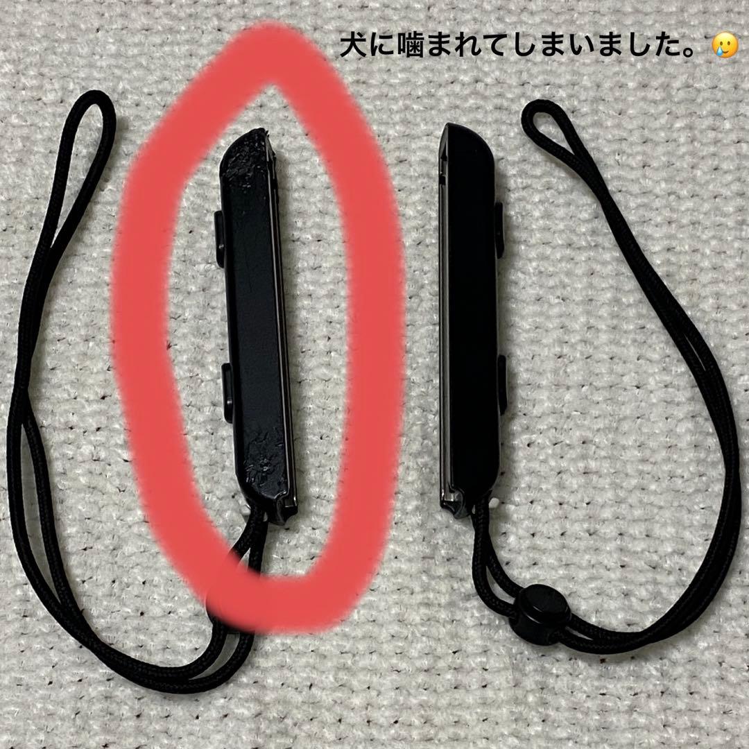 Nintendo Switch ＆ 持ち運び用ケース　2点セット