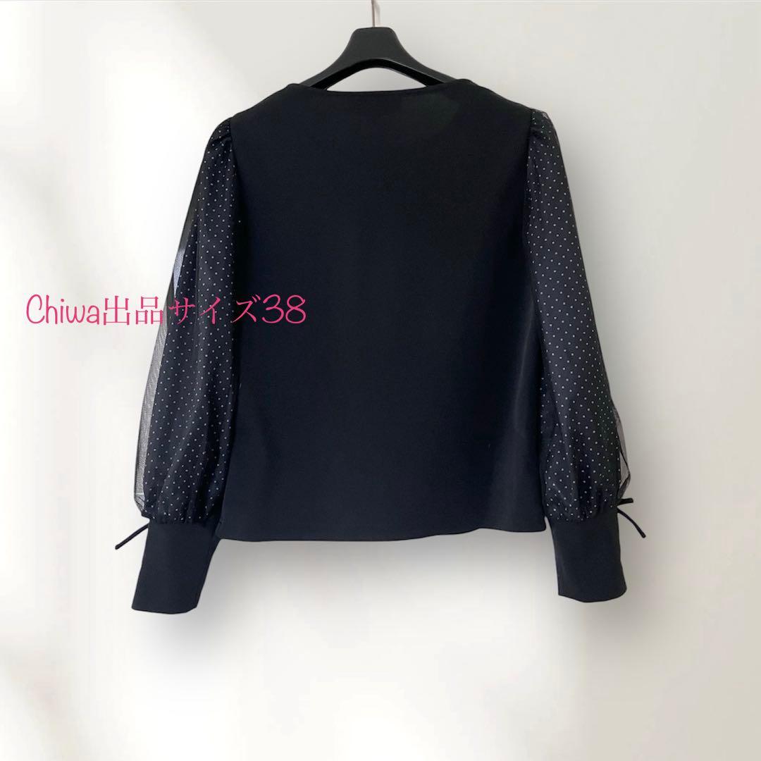 エムズグレイシー　お袖ドット&チュール　カットソー　トップス　38 黒