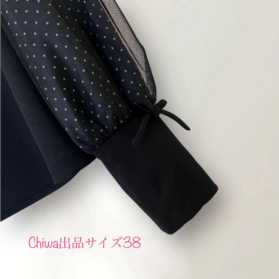 エムズグレイシー　お袖ドット&チュール　カットソー　トップス　38 黒