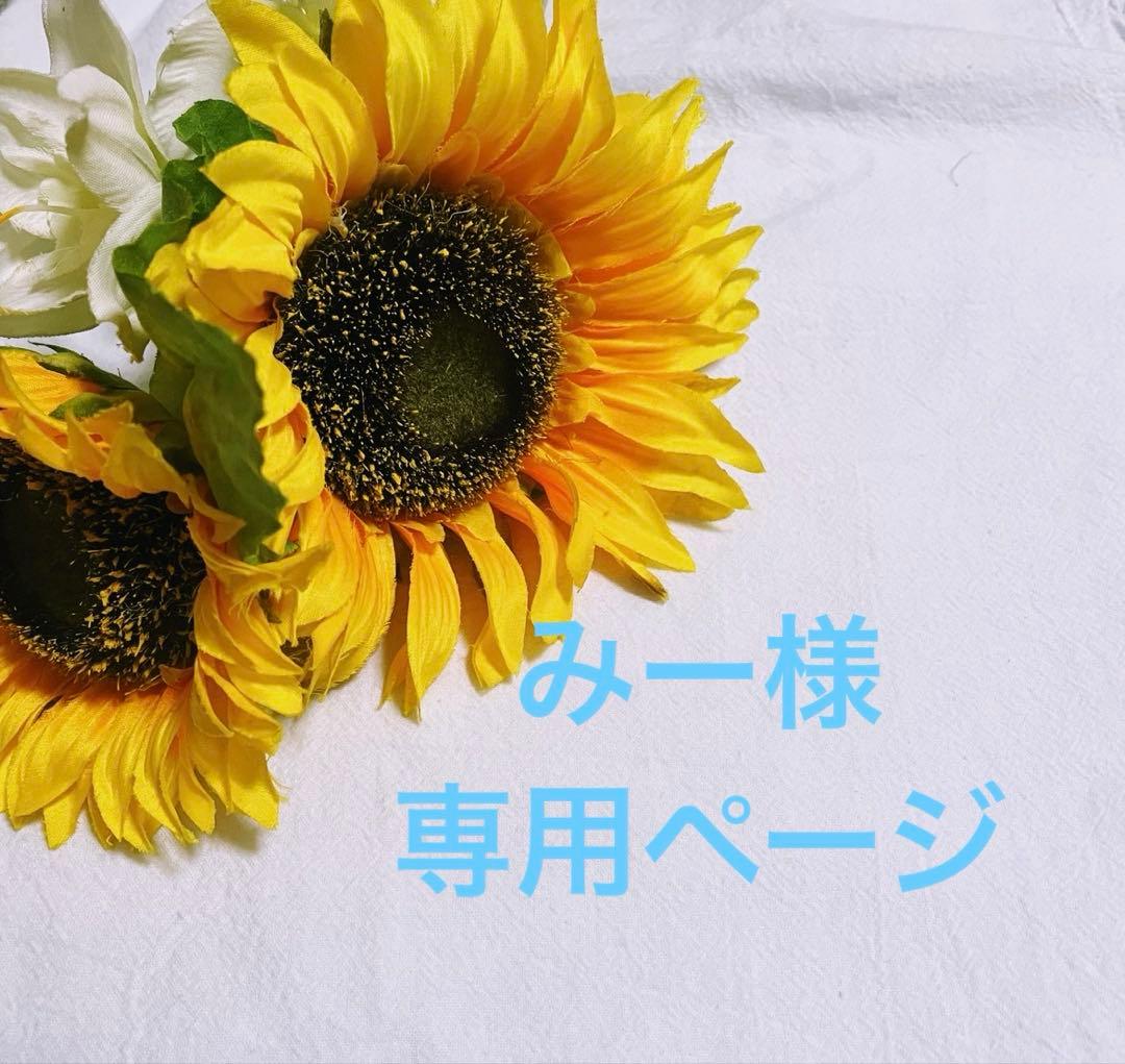 みー様オーダー専用ページです。