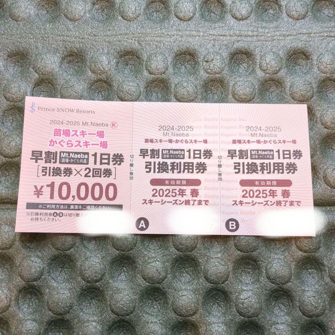 Mt. Naeba 早割1日券 引換券×2回 ¥10,000