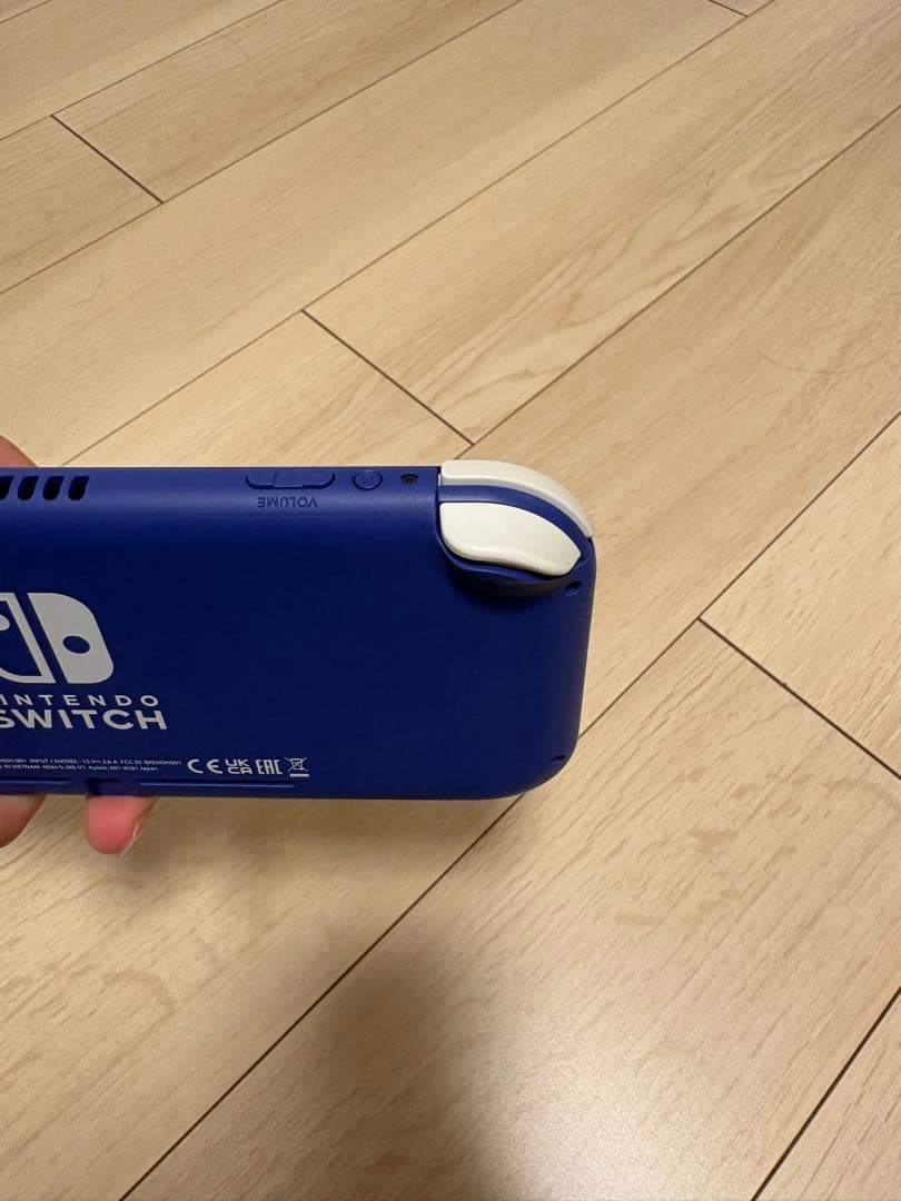 Nintendo Switch Lite ブルー本体と充電器付き