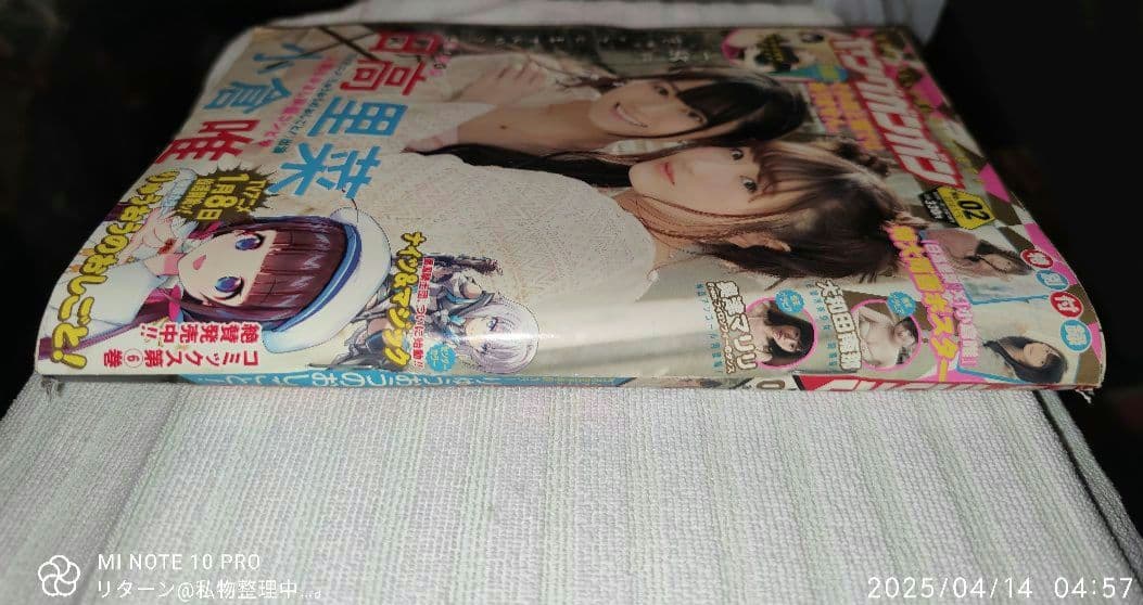 ヤングガンガン 2018年 1/19号 No.02 付録付き