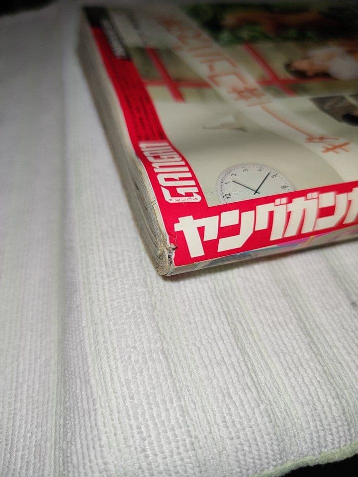 ヤングガンガン 2018年 1/19号 No.02 付録付き