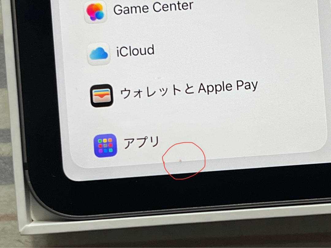 11インチ iPad Pro（第1世代/2018） 64GB SIMフリー