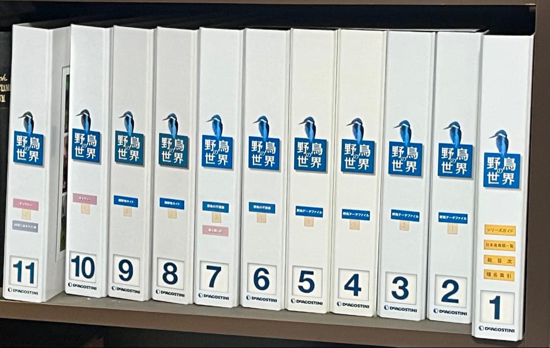 野鳥世界1～11巻