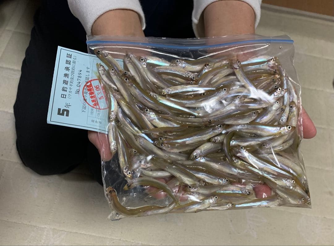 ワカサギステンレス穂先　　　２５８ミリ　　２本