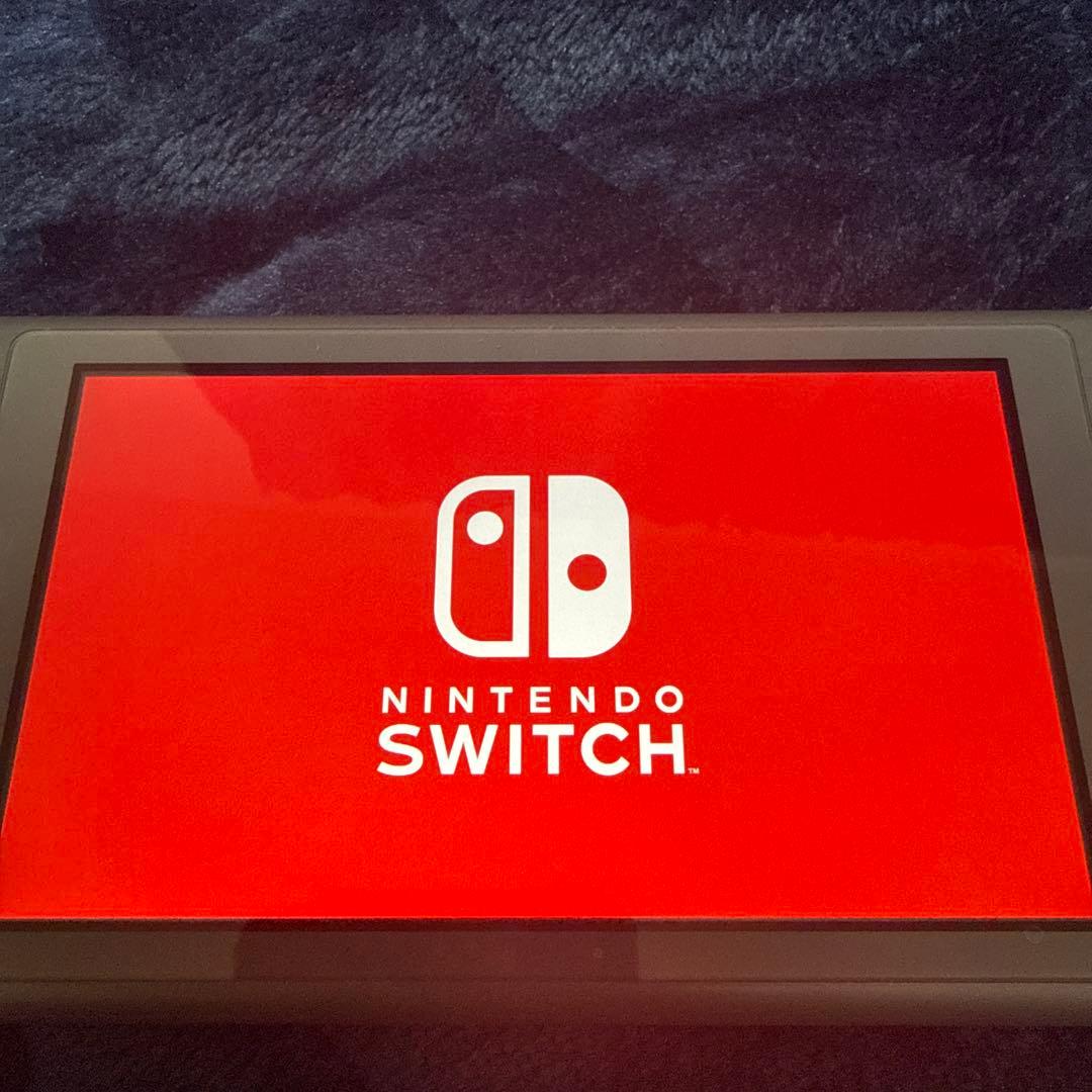 Nintendo Switch Lite グレー本体　箱無し付属なし