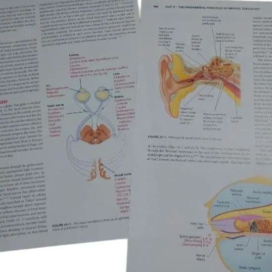 裁断Goldfrank's Toxicologic Emergencies 11