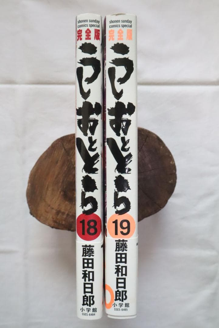 うしおととら 完全版 18,19巻 2冊セット 藤田和日郎著
