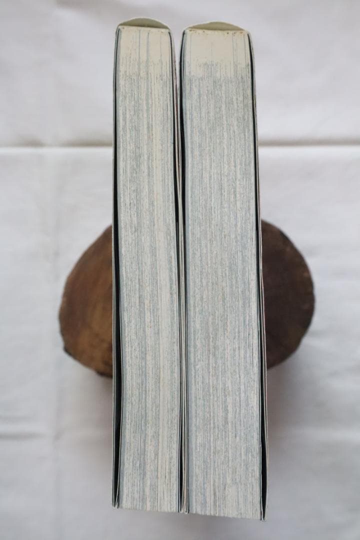 うしおととら 完全版 18,19巻 2冊セット 藤田和日郎著